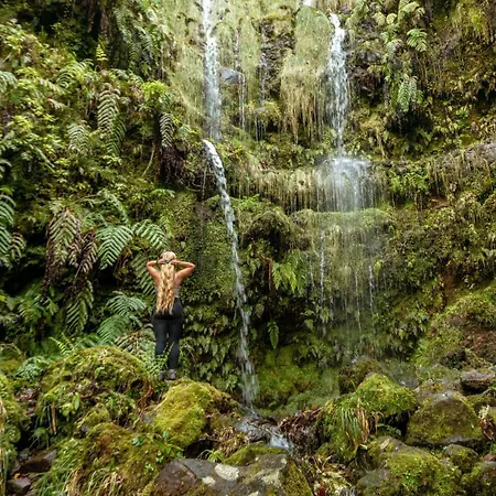 Appartement Pana House *