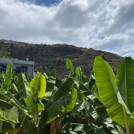 Appartement Pana House