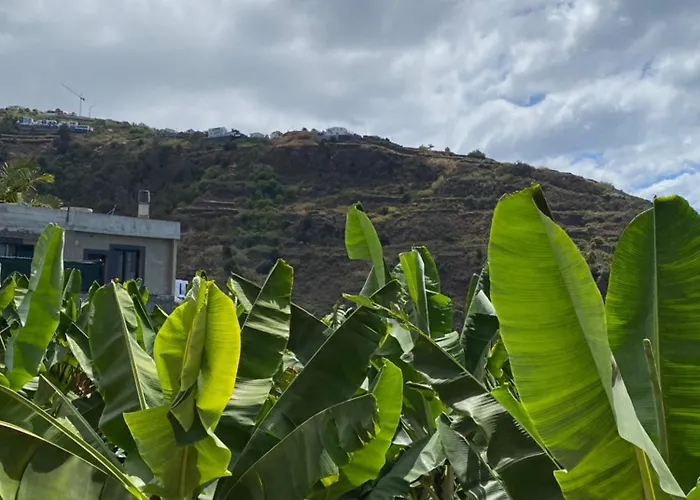 Apartment Pana House