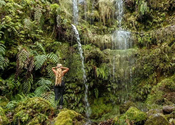 Apartmán Pana House *